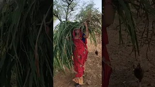 power women farmer ...#shorts #short #farmer #india #girl #village #world #farmerlife #villagelife