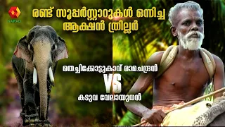 കടുവക്കു മുൻപിൽ മുട്ടുമടക്കിയ തെച്ചിക്കോട്ടുകാവ് രാമചന്ദ്രൻ || Thechikottukavu Ramachandran