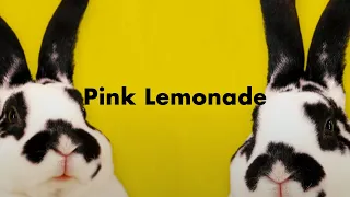 AmPm / Pink Lemonade feat.The Attire (Lyric Video)