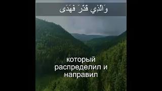 Коран Сура Аль-Ала | 87:3 | Чтение Корана с русским переводом | Quran Translation in Russian