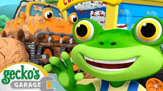 Max & Molly Mudbath | Truck and Bus Cartoon | Gecko's Garage | Animal Cartoons