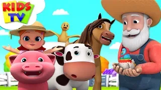 Old MacDonald Had a Farm | Boom Buddies | Nursery Rhymes & Children Songs - Kids TV