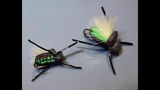 Tim's Beetle