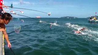 Lap 4 at 2018 Pan Pacific Swimming Championships Men's 10K Race