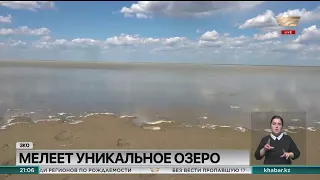 Уникальное озеро Сорколь мелеет в ЗКО
