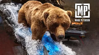 Best Of Bear Hunts - The Trophy Room | Mark V. Peterson Hunting