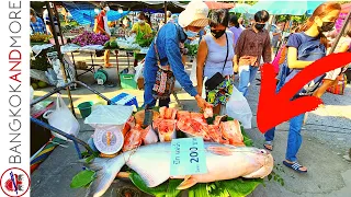 Lots Of STREET FOOD & Giant Thai MONSTER FISH | Wat Kaeo Market