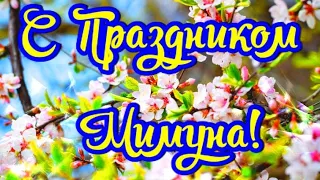 Очень Красивое Поздравление с Праздником Мимуна! С праздником Мимуна!