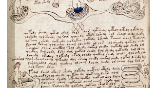 Il manoscritto di Voynich