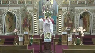 Paschal Hours and Divine Liturgy of Bright Monday 5/6/2024