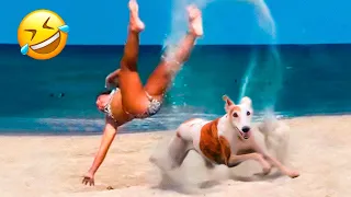 Funny Dogs And Cats Videos 2023 😅👌 - Best Animal Videos Of The Month 😄 #5
