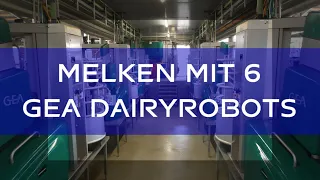 Ein neuer Milchviehstall - und den Kühen taugt´s!