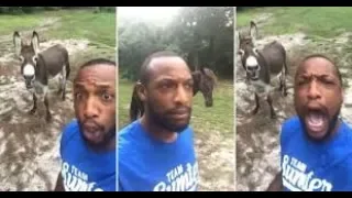 WOW!!! Man and Donkey Sings Lion King Opening Song. [Watch]