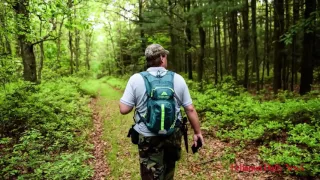 Does Sasquatch Live In Pennsylvania's Lebanon County