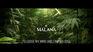 MAGICAL MALANA TRIBE ! (P.O.V)