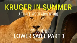 KRUGER IN SUMMER - a three week adventure - LOWER SABIE Part 1 (Episode 8)