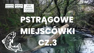 Pstrągowe miejscówki cz.3 /Jak żerują pstrągi? Jakie miejsca lubią pstrągi?