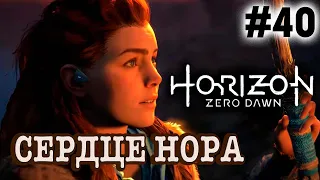 Прохождение Horizon Zero Dawn #40 ● СЕРДЦЕ НОРА ● PS4 Pro