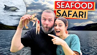 Lobster Potting, Dolphin Spotting, Fishing & Foraging on the Isle of Skye, Scottish Highlands - Ep32