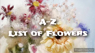 A to Z - LIST OF FLOWERS | W Space 🌸