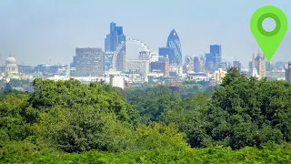 Why London Is *Technically* The Worlds Largest Urban Forest