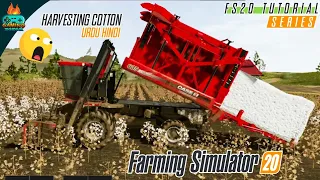 Planting and harvesting new crop COTTON in Farming Simulator 20 , fs20 fs 20