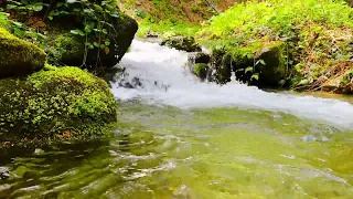 4K HDR Beautiful mountain stream flowing throug the roks.  The relaxing sound of flowing water.