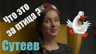 Владимир Сутеев Что это за птица? - Слушать сказку для детей!