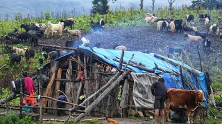 Nepali Mountain Sheep Shepherd Life | organic shepherd Food Cooking & Eating | Real shepherd Life |