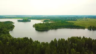 Озеро Сосна