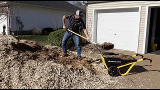 Wood Chips in the Garden - 1 year later