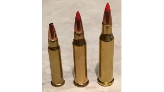 17hmr vs 17wsm vs 17 hornet