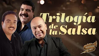 Trilogía De La Salsa – Salsa Power