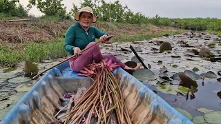 hai chị em dihairau sung.