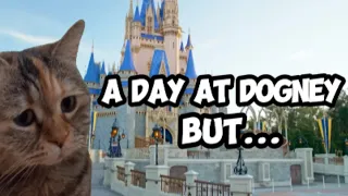 CAT MEMES: A DAY AT DOGNEY WORLD