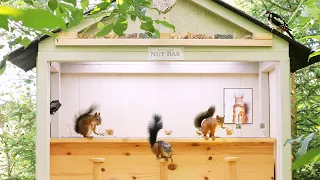 Movie Squirrels Nut Bar 2 - Busy Day at the bar