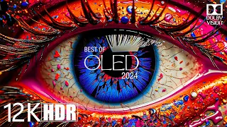 Insects Collection In The Eyes 12K HDR 120FPS Dolby Vision (BEST OF OLED) - Calming Piano Music