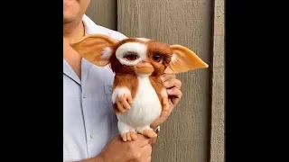 Making GIZMO part one