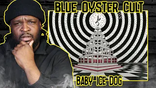 Blue Oyster Cult - Baby Ice Dog REACTION/REVIEW