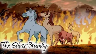 The Silver Brumby | Escape From The Fire | Full Episode | Videos For Kids | Videos For Kids