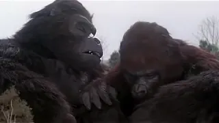 Honeymoon Ridge (King Kong Lives 1986) - Trilha sonora