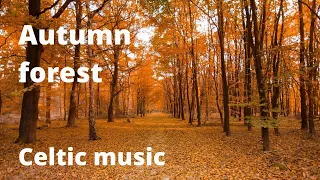 Autumn forest || Celtic relaxing music for stress relief