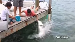 Best Fails of the Week 2 August 2013 || FailArmy | Anıl Ataseven Proper Network aa 1a | Aexandria Th