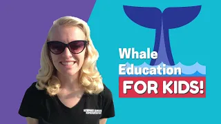 Whale Education for Kids | How Do Whales Eat? | Baleen vs Toothed Whales | How Do Whales Breath?