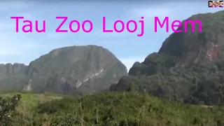 Tau Zoo Looj Mem