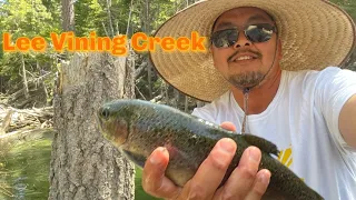 Episode 134:  Eastern Sierra Trout Hunt at Lee Vining Creek