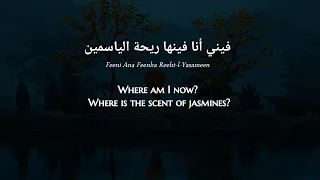 Babylone - Bakeetini (Algerian Arabic) Lyrics + Translation - بابيلون - بكيتيني