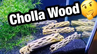 Cholla Wood Aquarium Benefits & Setup