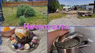 Влог 696 Нам нечего есть/ПАСХА/Пока гараж/Наши фрукты/многодетная семья из Германии в Калининград