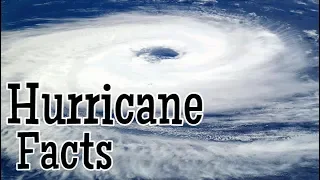 Hurricane Facts for Kids